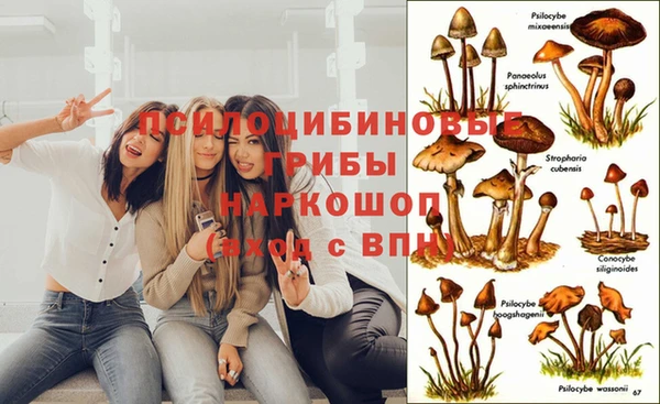 МДПВ Краснотурьинск