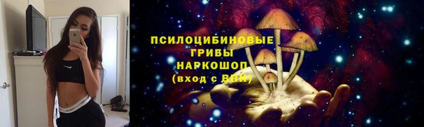 МДПВ Краснотурьинск