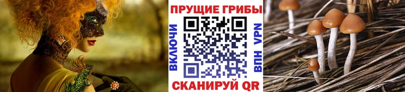Псилоцибиновые грибы мухоморы  Купить где  Бавлы 